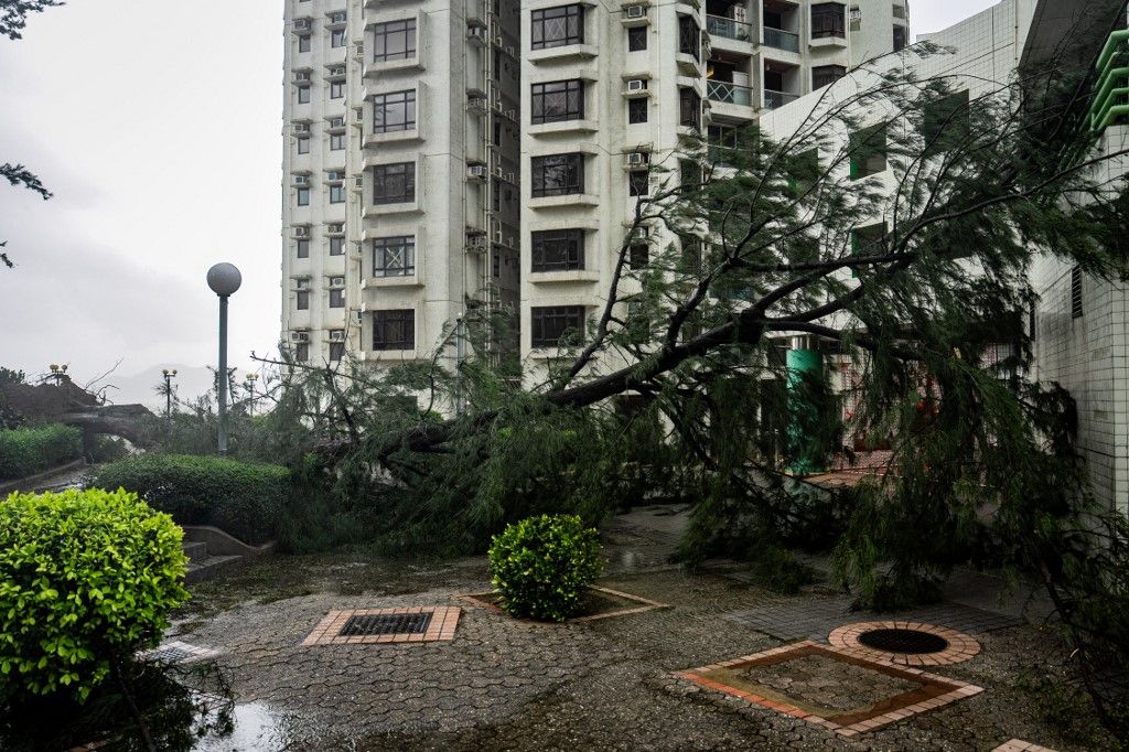 Supertajfun Ragasa ostavio iza sebe razorne posljedice - 9