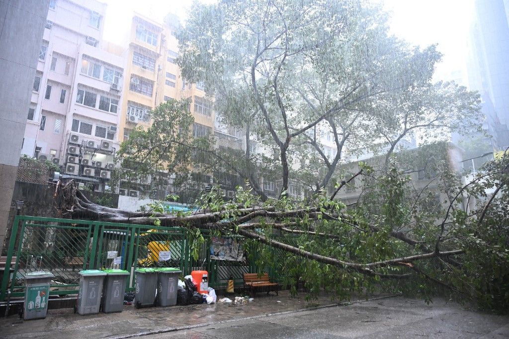 Supertajfun Ragasa ostavio iza sebe razorne posljedice - 9