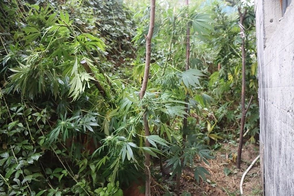 Privođenje osumnjičenog - 2