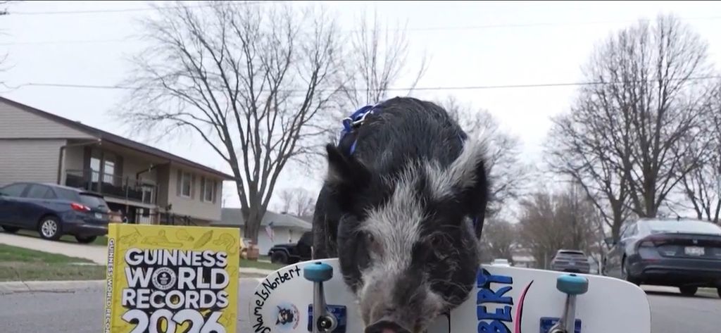 Novi Guinnessovi rekordi - 4