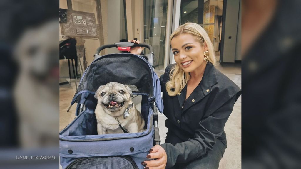 Andrea Šušnjara - 4