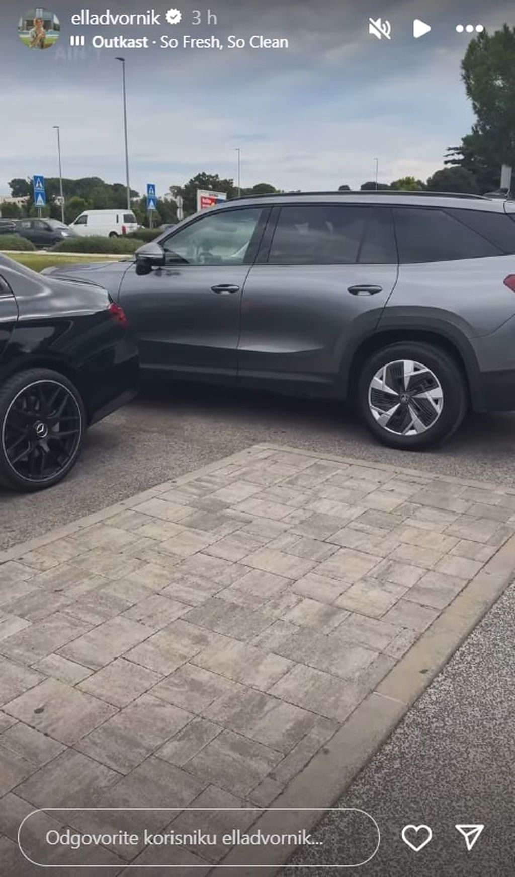 Auto Elle Dvornik - 2