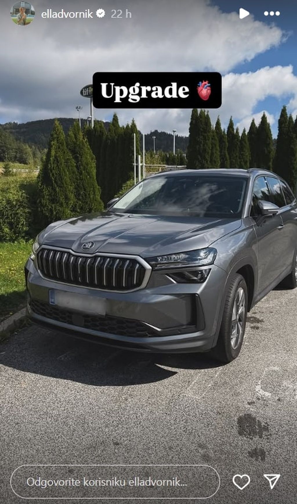 Auto Elle Dvornik - 3