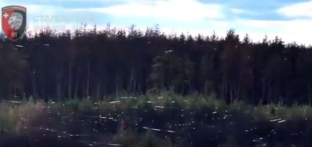 Mreže optičkih kablova iznad šume u Ukrajini