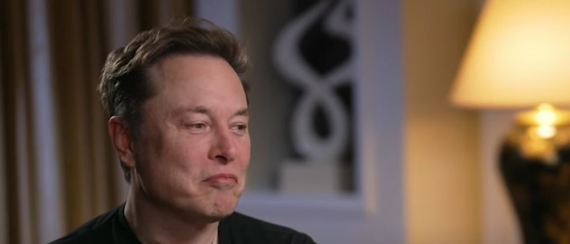 Elon musk vic