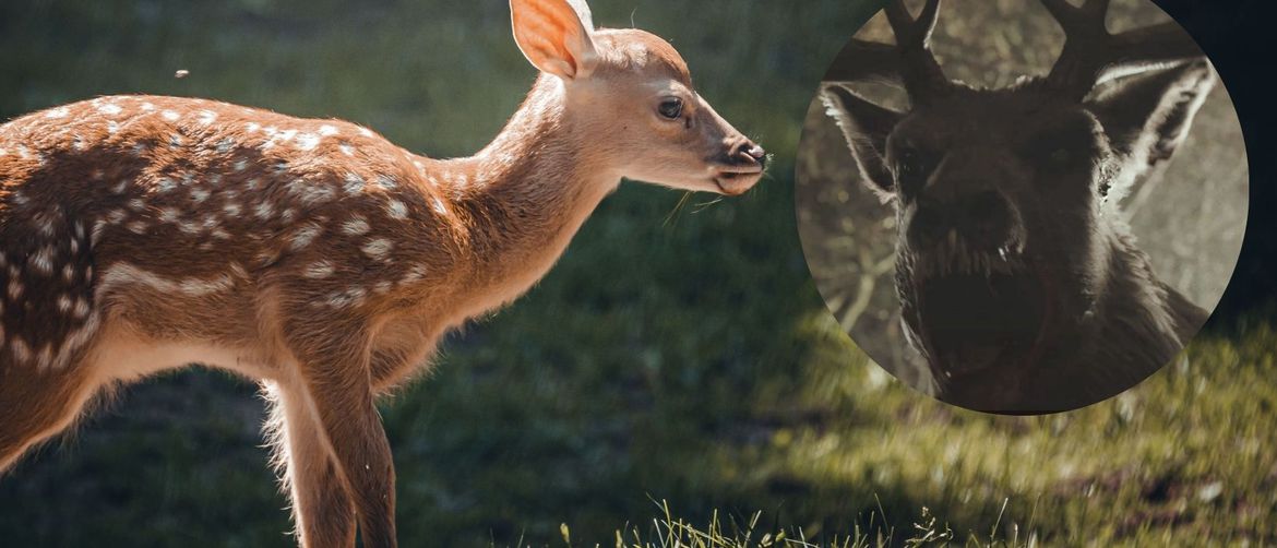 Srna na livadi i Bambi iz horor filma