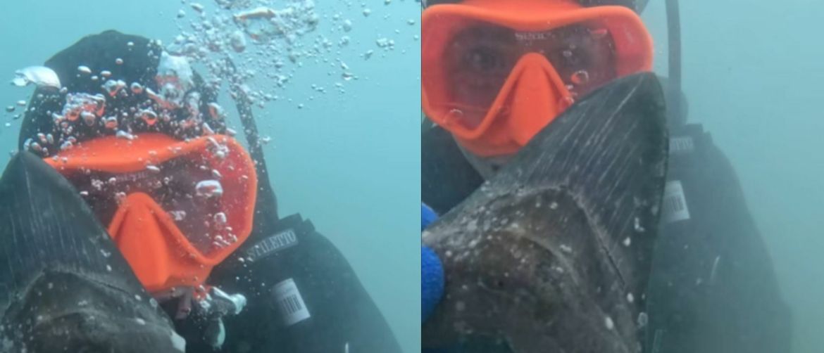 Pronalazak fosila zuba na dnu mora