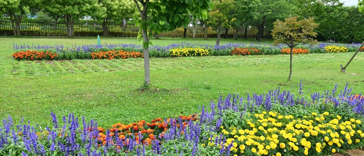 Cvijetna gredica u dvorištu