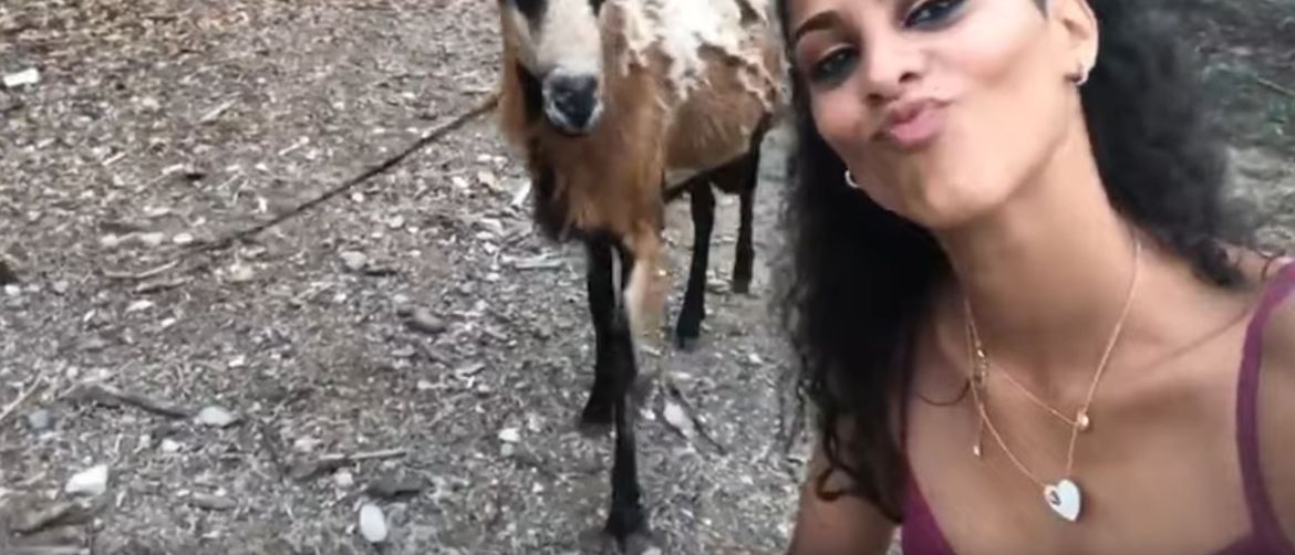 Selfie s kozom (Foto: Screenshot/YouTube)