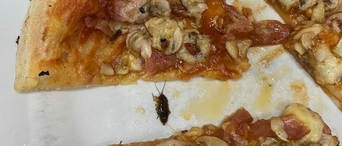 Studenti su u pizzi iz menze pronašli žohare