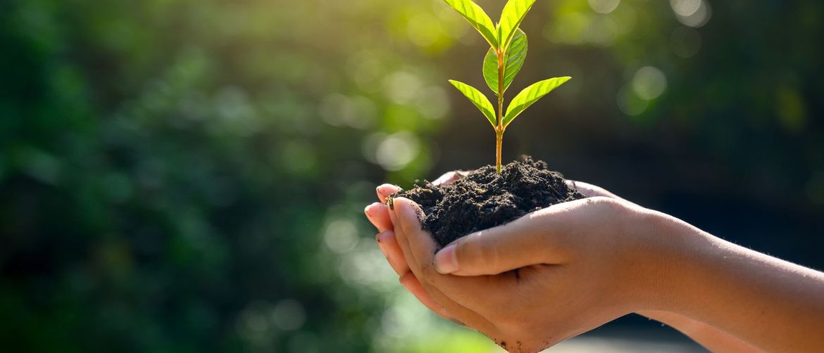 Sveučilište u Zagrebu je najodrživije u Hrvatskoj