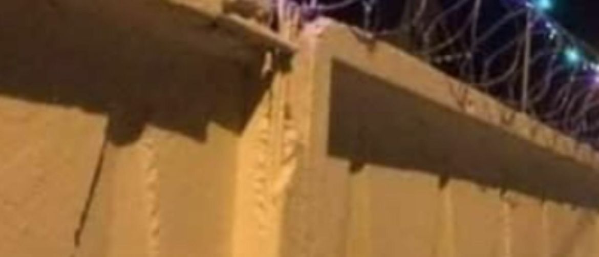 Ukrasi na bodljikavoj žici zatvora