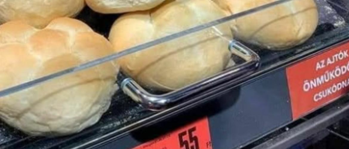 Miš koji jede pecivu u izlogu trgovine