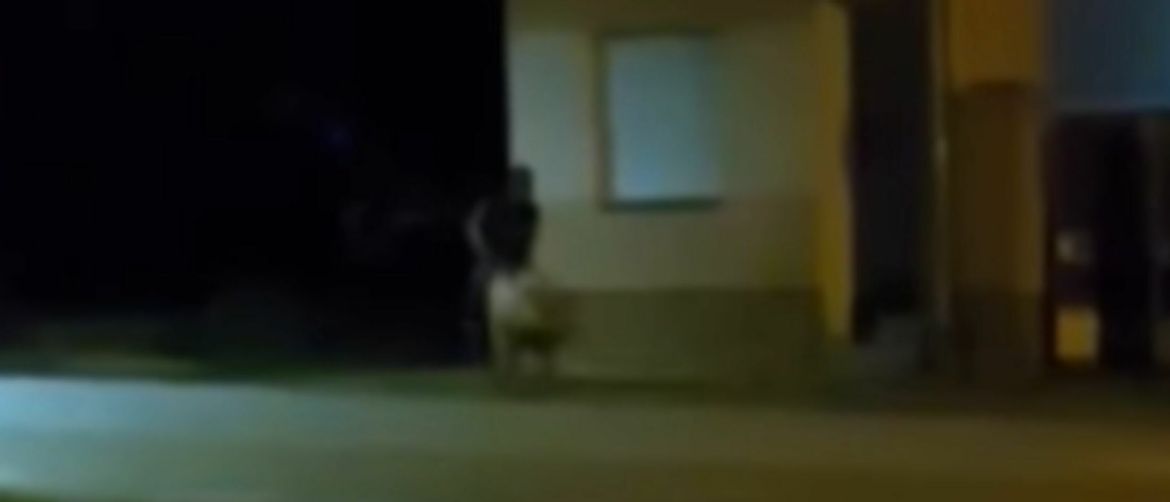 Muškarac koji jaše svinju u Slavoniji