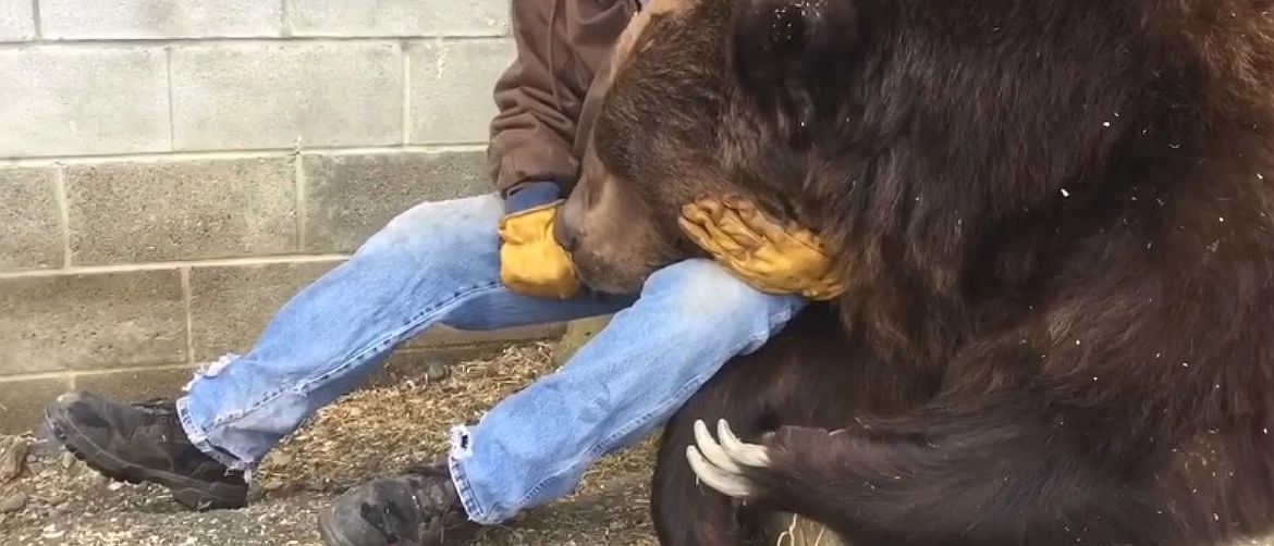 Jimbo je zbog bolesti i posjete veterinara posljednjih dana bio neraspoložen (FOTO: YouTube/Screenshot)