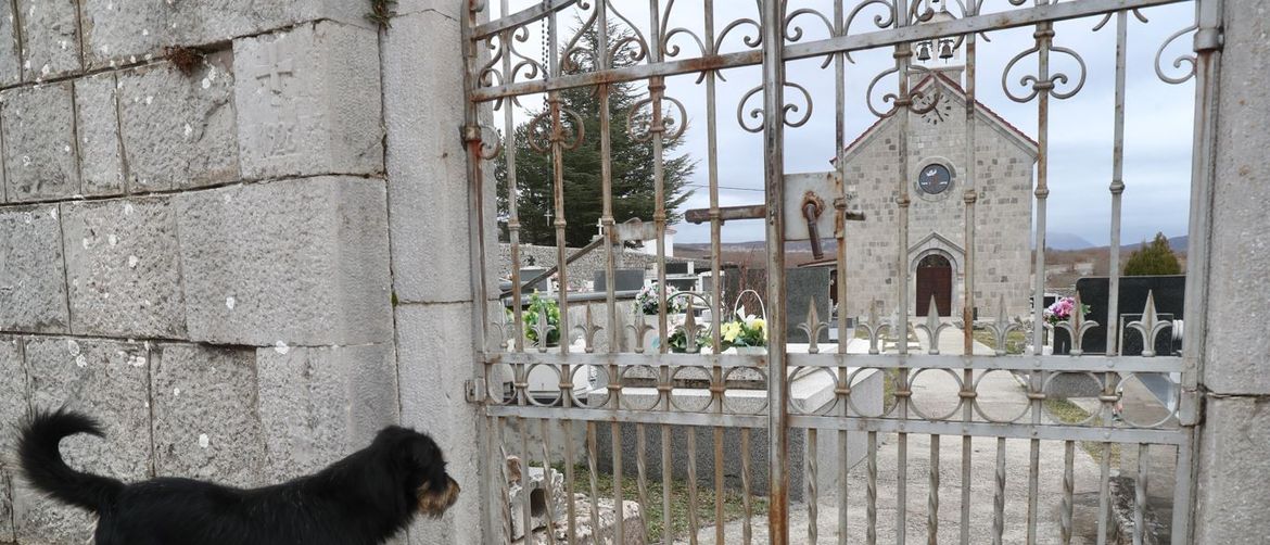 Pas Bruno i dalje čeka preminulog vlasnika na groblju - 2