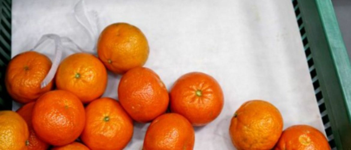 Mandarine sa smiješnom državom podrijetla