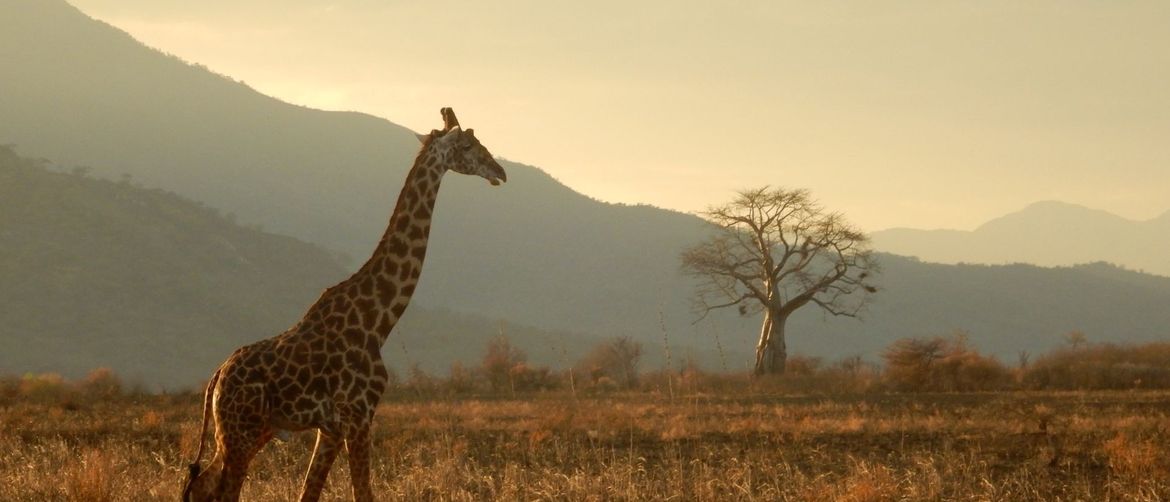 Tanzanija, Afrika