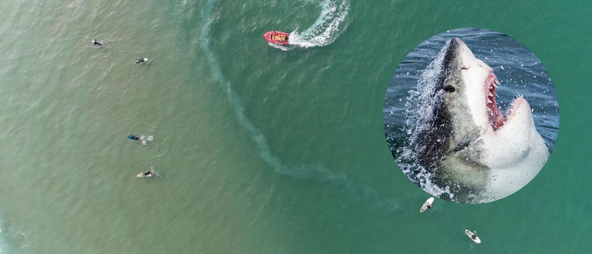 Slika mora iz zraka sa surferima i brodom te morski pas koji izvire iz vode