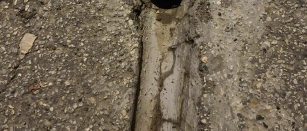 Neobičan detalj na slivniku u dvorištu