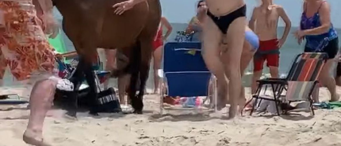 Konj na plaži (Foto: Screenshot/YouTube)