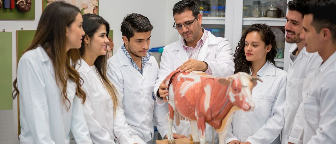 Studenti veterine