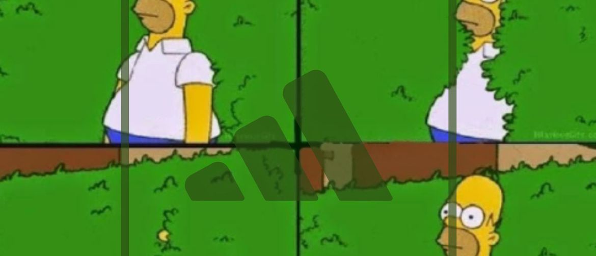Homer Simpson ulazi u grmlje i adidas logo
