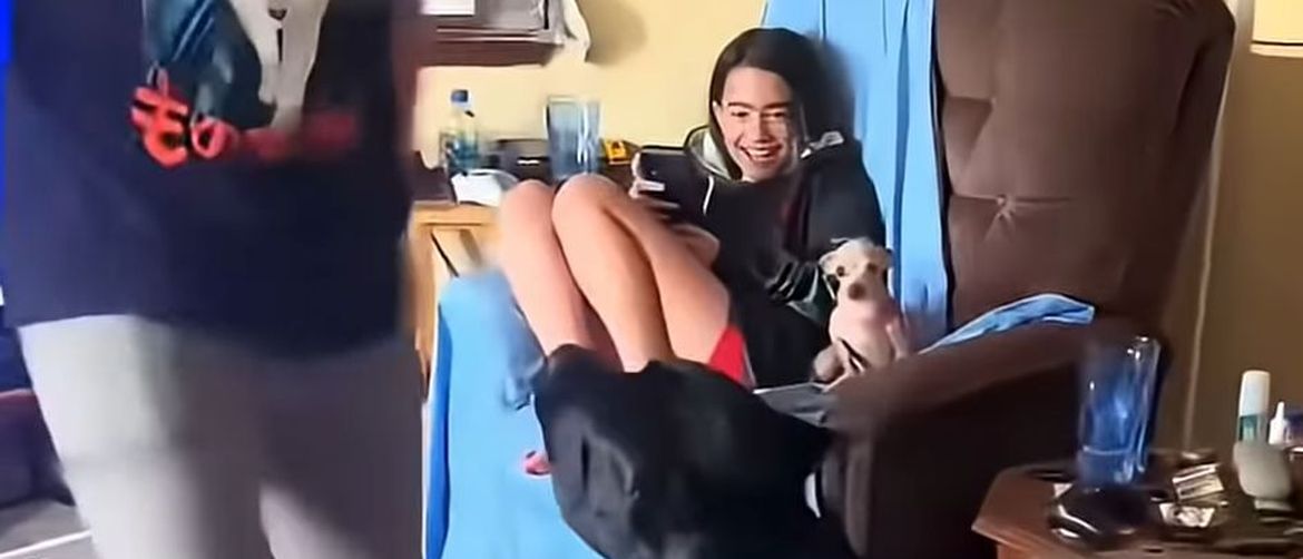 Psi čuvari