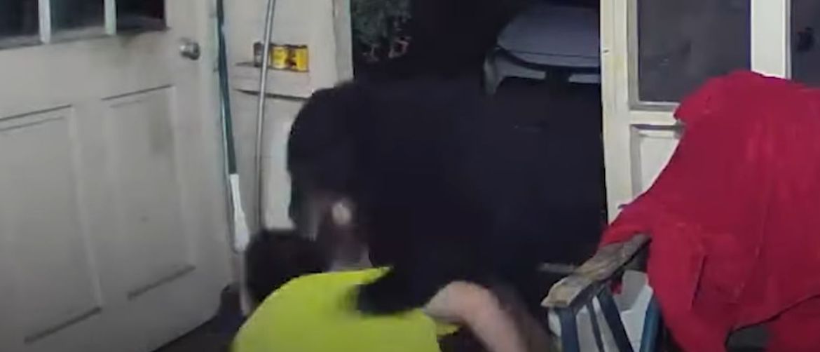 Obračun s medvjedom