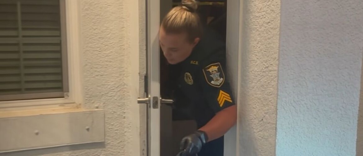 Policajka i aligator