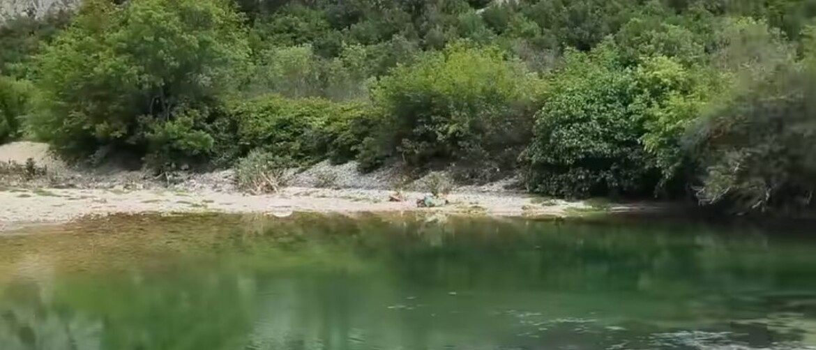 Rijeka Bregava