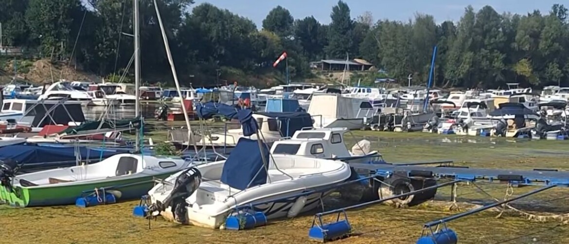 Dunav
