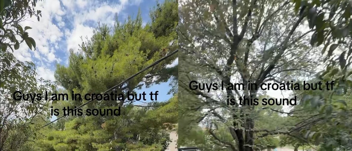 Pogled s balkona