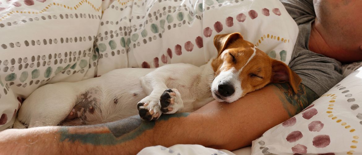 Pas i vlasnik spavaju