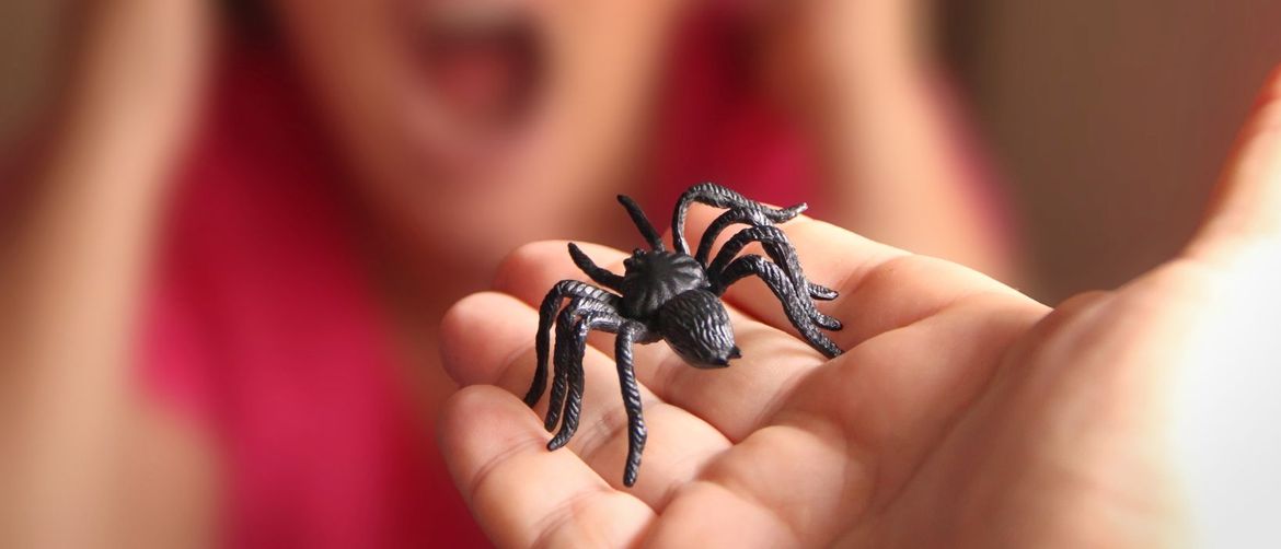 Plastični pauk u ruci i žena s izrazom straha na licu