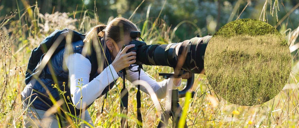Fotograf u prirodi i mladunče lava skriveno u visokoj travi