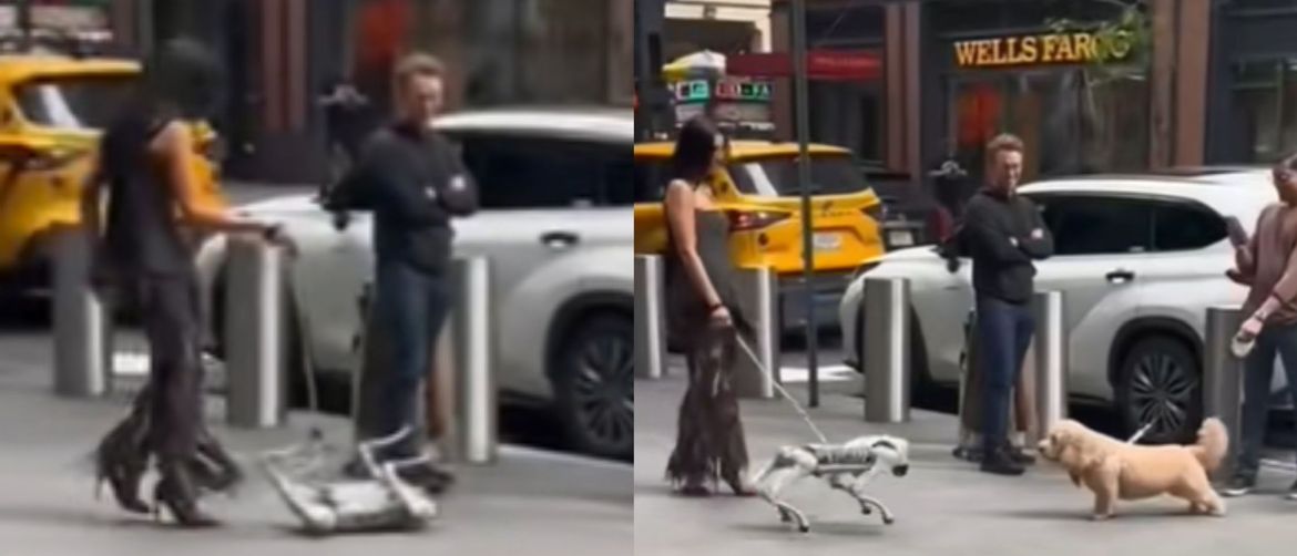 Susret pravog psa s robotskim