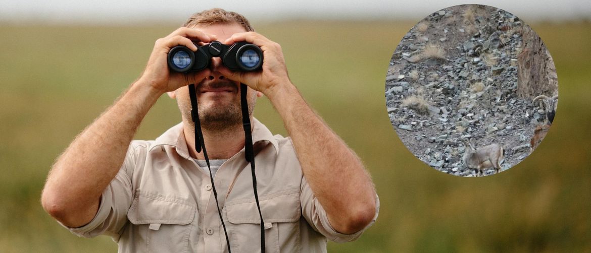 Muškarac koji gleda kroz dvogled i sakriveni snježni leopard