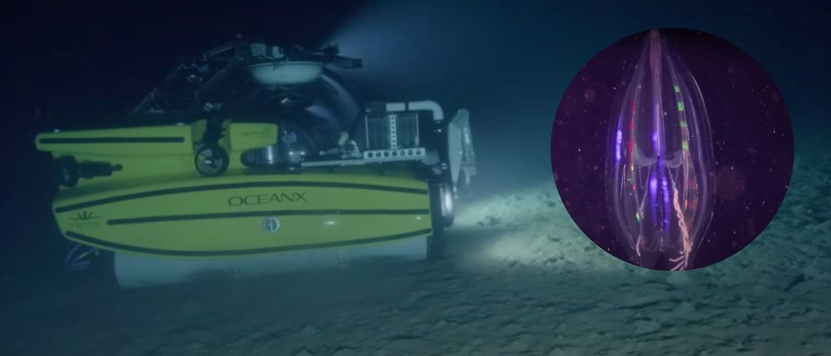Podmornica za znanstvena istraživanja i bioluminiscentni organizam
