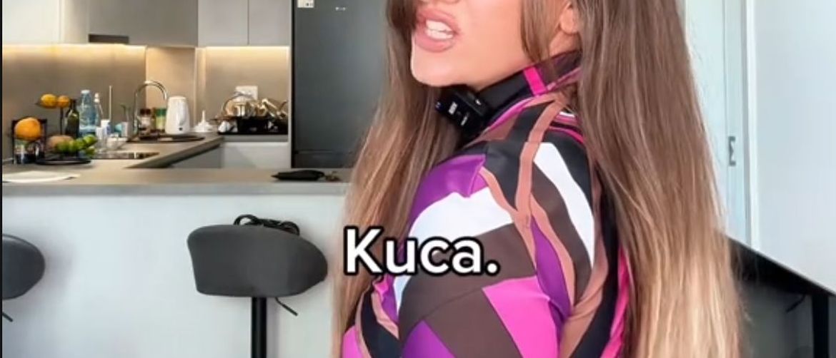 Nina Čudić