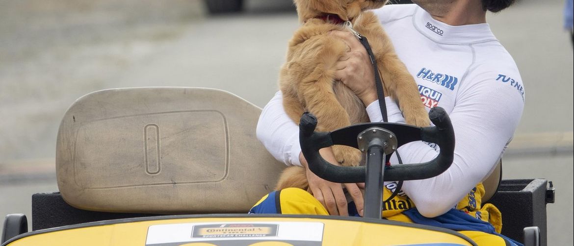 The Art of Racing in the Rain