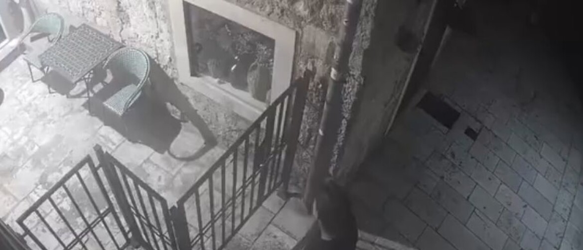 Mokrenje pred kućom