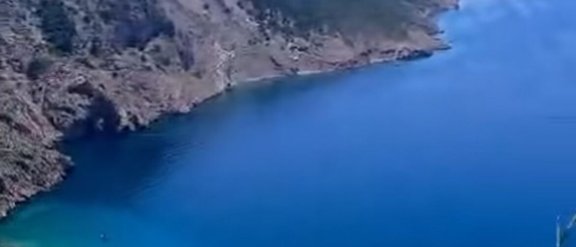 Pogled