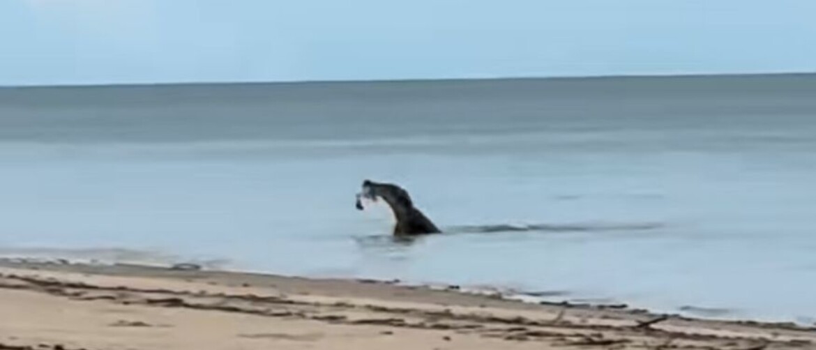 Idilična plaža