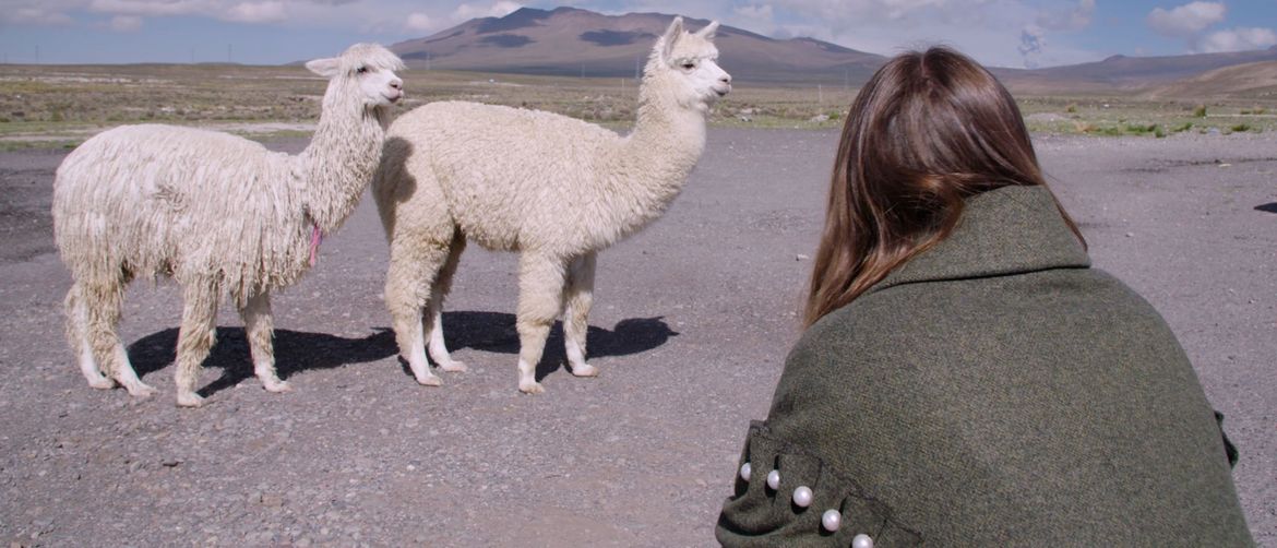 Moda, iz početka, Amy+Llamas©Fashion Reimagined Ltd