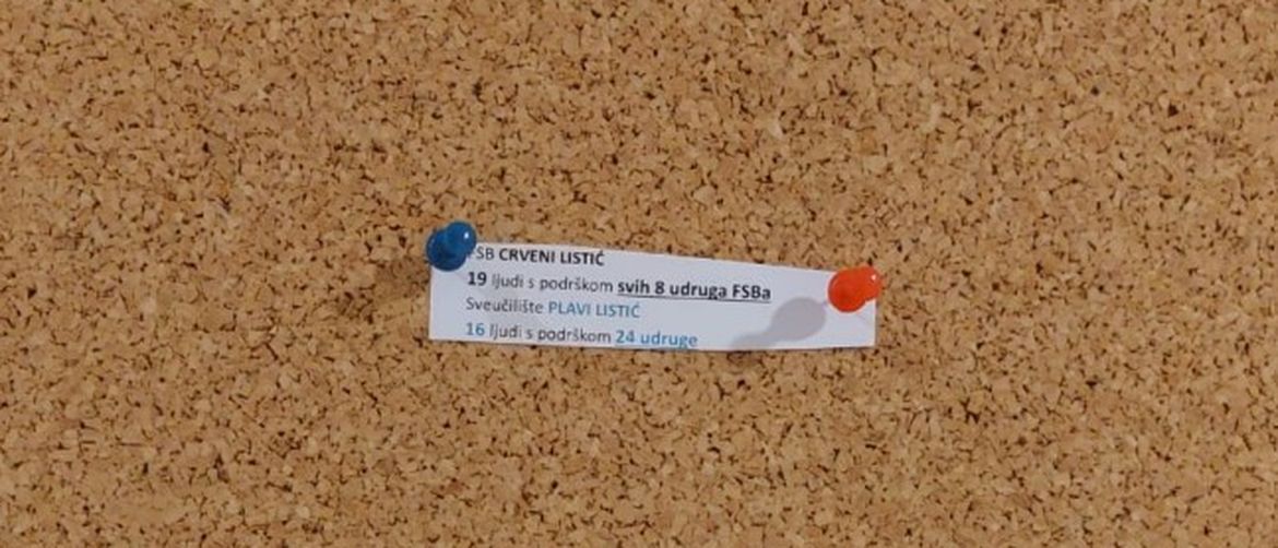 Matija Čmelješević u prigovoru na provođenje izbornog procesa