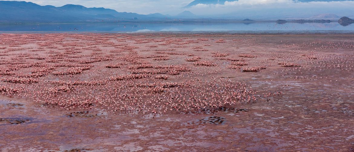Otrovno jezero u Tanzaniji