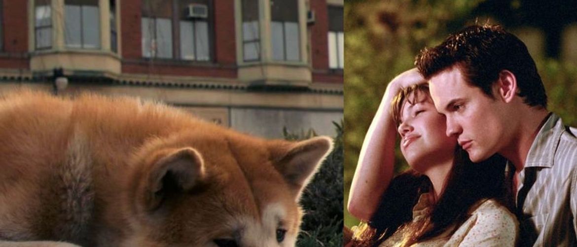 Hachi i Walk to Remember