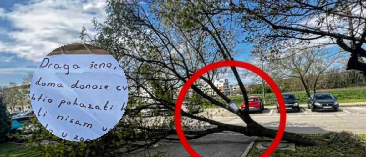 Ljubavna poruka na palom stablu u Hrvatskoj