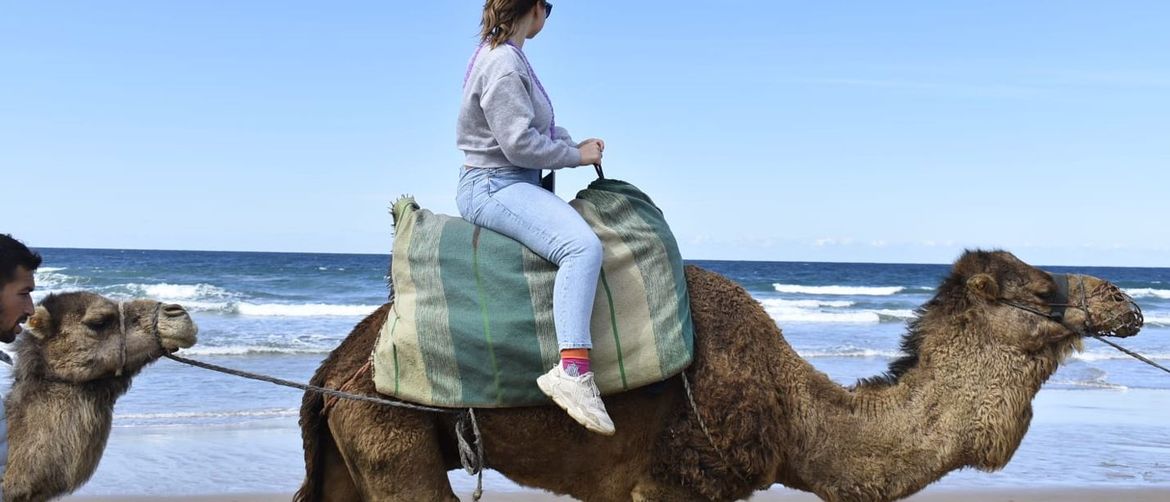 StudiGO u Sevilli - 5